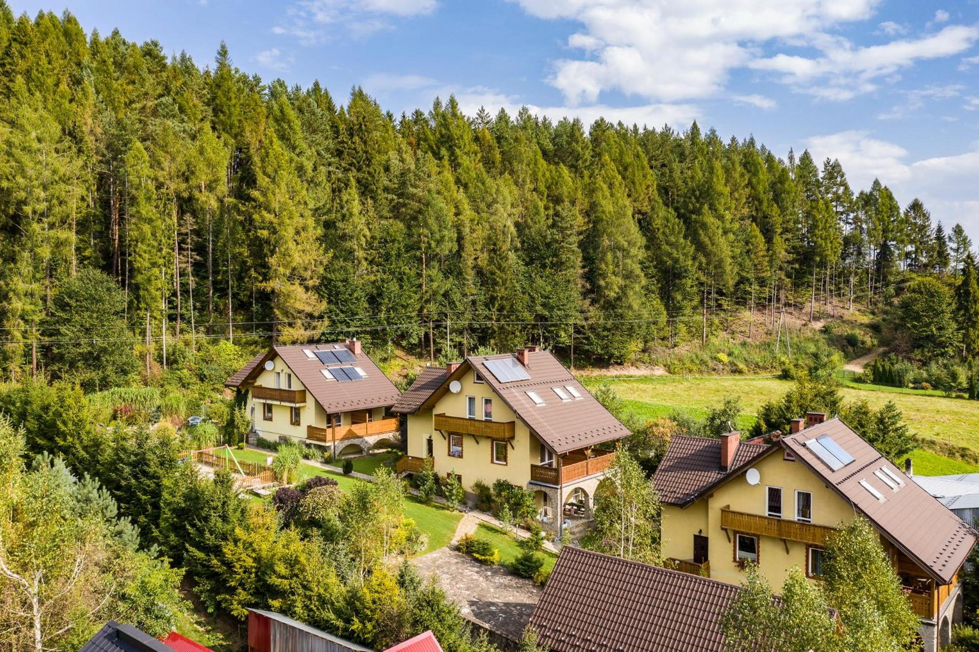 Apartamenty Zielona Owieczka Niedzica Zamek Exterior photo